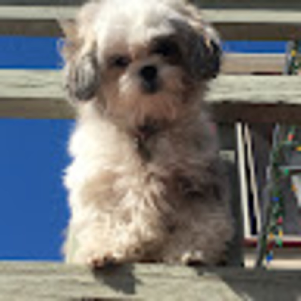 Meet your Posher, Christine